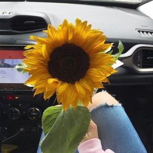 Meet your Posher, Annabell